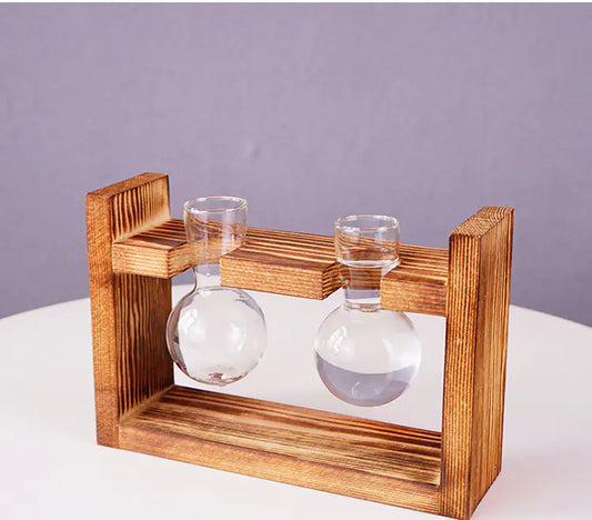 hydroponics glass and pine display vase